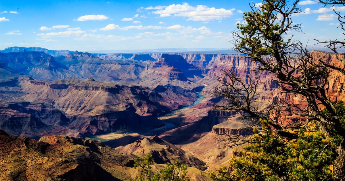 Arizona
