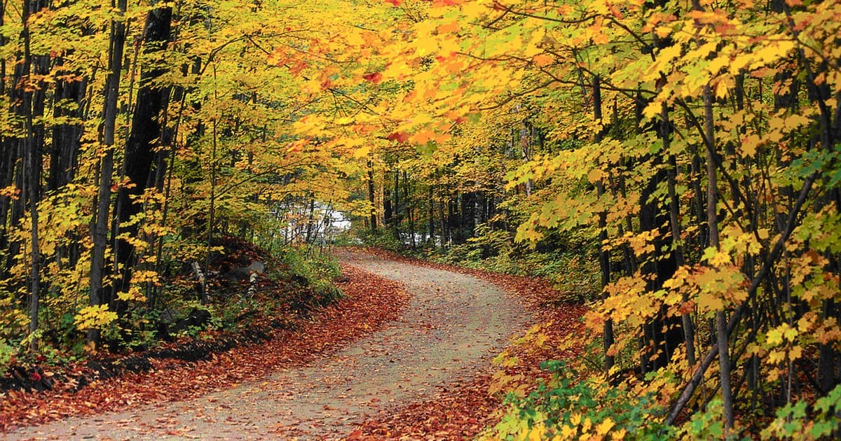 Vermont