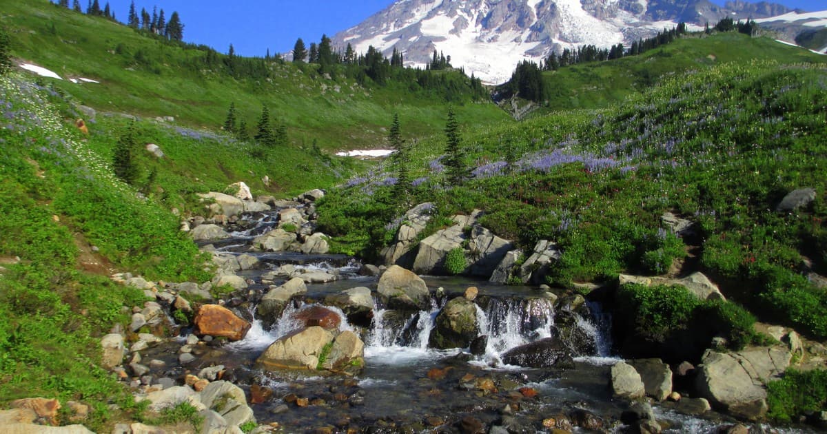 Washington